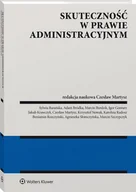 Prawo - Skuteczność w prawie administracyjnym [PRZEDSPRZEDAŻ] - miniaturka - grafika 1