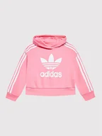 Odzież sportowa dziecięca - adidas Bluza adicolor HK0281 Różowy Loose Fit - miniaturka - grafika 1