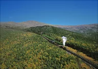 Plakaty - Cog Railway in New Hampshire’s White Mountains, Carol Highsmith - plakat 29,7x21 cm - miniaturka - grafika 1
