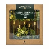 Herbata - DARY NATURY Herbatka liofilizowana Odprężenie EKO, 5szt. - >>> DARMOWA od 149zł <<<- - miniaturka - grafika 1