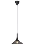 Lampy sufitowe - LUNO Lampa Wiszaca Kiruna S LUNO styl skandynawski metal czarny 50101205 - miniaturka - grafika 1