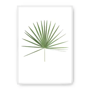 Dekoria Dekoria Plakat Tropical Leaf Green 70 x 100 cm Ramka Biała 223F-000-14 - Plakaty - miniaturka - grafika 1