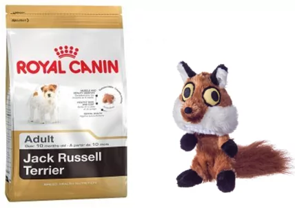 Royal Canin Jack Russell Adult 7,5kg + Pojemnik na karmę Curver 10l 4kg  197500 - Ceny i opinie na Skapiec.pl
