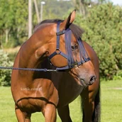 Kantary dla koni - HORZE Kantar + uwiąz + frędzelki DOMINIC - miniaturka - grafika 1