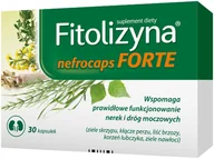 Układ moczowy i płciowy - Herbapol Pruszków Fitolizyna Nefrocaps Forte 30 kaps - miniaturka - grafika 1