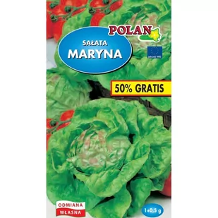 SAŁATA,,MARYNA,, MASŁOWA 1+0,5G - Nasiona i cebule - miniaturka - grafika 1