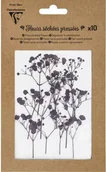 Zabawki kreatywne - Clairefontaine Suszone Kwiaty Prasowane Lawendowe 10 sztuk - 195491C - miniaturka - grafika 1
