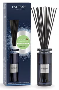 Pałeczki Zapachowe - Esteban Paris - Elessens - White Tea & Ylang Ylang - 75ml - Aromaterapia - miniaturka - grafika 1