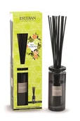 Zapachy do domu - Dyfuzor zapachowy z patyczkami (100 ml) Terre d'agrumes Esteban - miniaturka - grafika 1