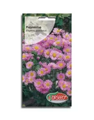 Nasiona i cebule - Nasiona Przymiotno różowe 0,5g - Torseed - miniaturka - grafika 1