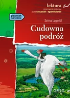 Lektury szkoła podstawowa - Greg Cudowna podróż, wydanie z opracowaniem i streszczeniem Selma Lagerlöf - miniaturka - grafika 1