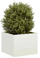 Donice - Elior Biała stylowa donica tarasowa Z8-F88 - miniaturka - grafika 1