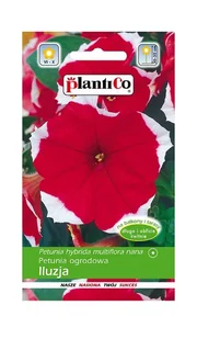 Petunia ogrodowa Iluzja czerwona 0,05 g Plantico - Nasiona i cebule - miniaturka - grafika 1