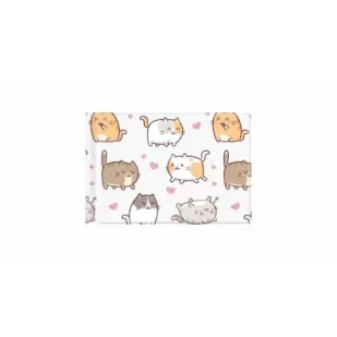 Biurfol Okładka na dokumenty ucznia małe kittens - Szkolne artykuły papiernicze - miniaturka - grafika 1