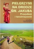 Religia i religioznawstwo - Pielgrzymi na drodze św Jakuba przeszłość i teraźniejszość - miniaturka - grafika 1