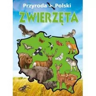 Książki edukacyjne - SBM Przyroda Polski Zwierzęta - Praca zbiorowa - miniaturka - grafika 1