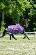 Derki dla konia - Bucas Derka padokowa 0g 600D FREEDOM LIGHT - violet/green - miniaturka - grafika 1