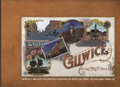 Książki regionalne - Gliwice - Portret miasta. Album 691 kart pocztowych od XIX-XXIw - miniaturka - grafika 1