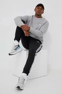 Spodnie męskie - adidas spodnie dresowe kolor czarny z aplikacją - miniaturka - grafika 1