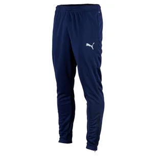 Spodnie fitness męskie Puma teamRISE Poly Training - Spodnie sportowe męskie - miniaturka - grafika 1