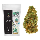 Zioła - AK-47 Susz Konopny CBD <11% - 5 gram - miniaturka - grafika 1
