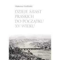 Goliński Mateusz Dzieje miast praskich do początku XV wieku - Archeologia - miniaturka - grafika 1