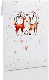 Koperta Jelonki na zdjęcia 10x15 lub 13x18 - Koperty - miniaturka - grafika 1
