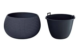 Prosperplast Doniczka ogrodowa Splofy Bowl, antracytowa, 29 cm, 3,9 cm - Donice - miniaturka - grafika 4