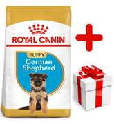 Royal Canin German Shepherd Junior 12 kg