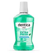 Dentica Dentica, odświeżający płyn do płukania jamy ustnej, 500 ml