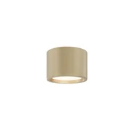 Lampy sufitowe - Złoty, dekoracyjny spot natynkowy C090CL-10W3K-MG z serii HYDRA - miniaturka - grafika 1