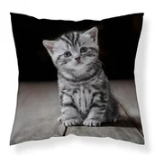 Pościel dla dzieci - Detexpol Poszewka dekoracyjna 40x40 kotek szary MF050 A poszewka 3D z motywem kota - Fun Dreams - miniaturka - grafika 1