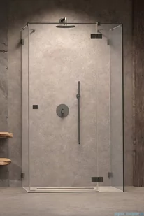 Radaway Essenza Pro Brushed GunMetal Kdj+S kabina 90x120x90cm prawa szczotkowany grafit 10097312-92-01R/10098090-01-01/10098090-01-01 - Kabiny prysznicowe - miniaturka - grafika 1