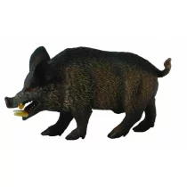 Collecta Dzik Odyniec - minifigurka - Figurki dla dzieci - miniaturka - grafika 1