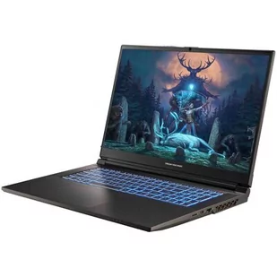 Dream Machines RG4050-17PL31 17.3" 144Hz i7-14700HX 32GB RAM 1TB SSD GeForce RTX4050 - Laptopy - miniaturka - grafika 1