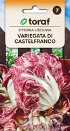 Nasiona i cebule - Cykoria liśc. Variegata di Castelfranco 5g / T / - miniaturka - grafika 1