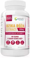 Suplementy naturalne - TOMASZ KACZMARCZYK WISH GROUP Wish Dzika Róża Extract 200 mg 120 tabletek - miniaturka - grafika 1