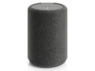 Głośniki i kolumny - Audio Pro A10 MKII (ciemnoszary) - miniaturka - grafika 1