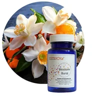 Zapachy do domu - BLOSSOM BURST - Kompozycja Zapachowa 100 ml - miniaturka - grafika 1