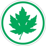 Akcesoria BHP - Naklejka Zielony listek, liść klonu, znak młodego kierowcy 11x11cm - miniaturka - grafika 1