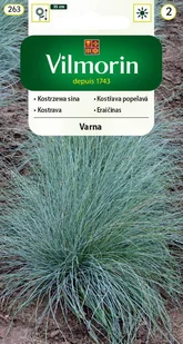 Kostrzewa sina Varna nasiona 0,4g Vilmorin - Nasiona i cebule - miniaturka - grafika 1