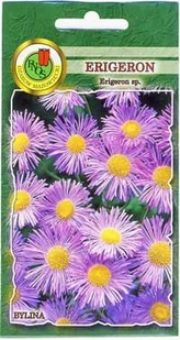 Erigeron 0,5 g PNOS - Nasiona i cebule - miniaturka - grafika 1