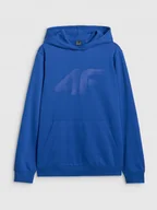 Bluzy męskie - BLUZA MĘSKA Z KAPTUREM 4F BASIC TSWSM1980 AW25 XL - miniaturka - grafika 1