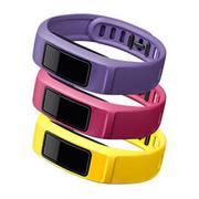 Akcesoria do smartwatchy - Garmin Zestaw opasek zamiennych VIVOFIT 2 (3szt) zestaw_opasek_vivofit2 - miniaturka - grafika 1