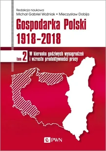 Modernizacja Dla Zintegrowanego Rozwoju Gospodarka Polski 1918-2018 Tom 3 Michał Gabriel Woźniak - Ekonomia - miniaturka - grafika 1