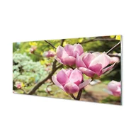 Tablice i flipcharty - Lacobel z grafiką do kuchni Magnolia drzewa 120x60 - miniaturka - grafika 1