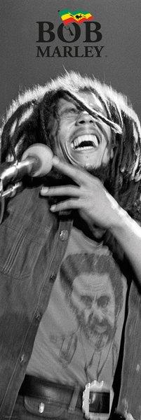 Bob Marley Mikrofon - plakat