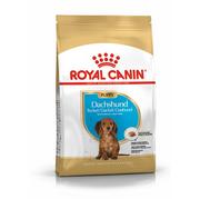 Sucha karma dla psów - Royal Canin Dachshund Junior 1,5 kg - miniaturka - grafika 1