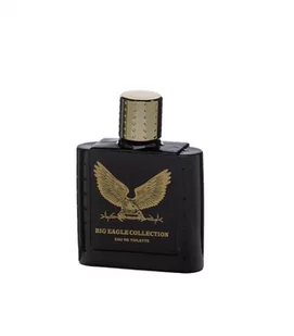 Real Time Big Eagle Collection Black woda toaletowa 100ml - Wody i perfumy męskie - miniaturka - grafika 1