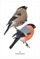 Podkładki na biurko - Tablica A4 Gil - miniaturka - grafika 1